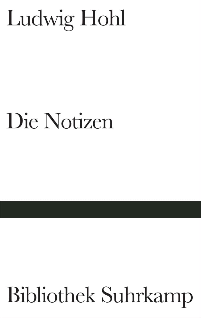 Die Notizen oder Von der unvoreiligen Versöhnung Contemporary literature Books