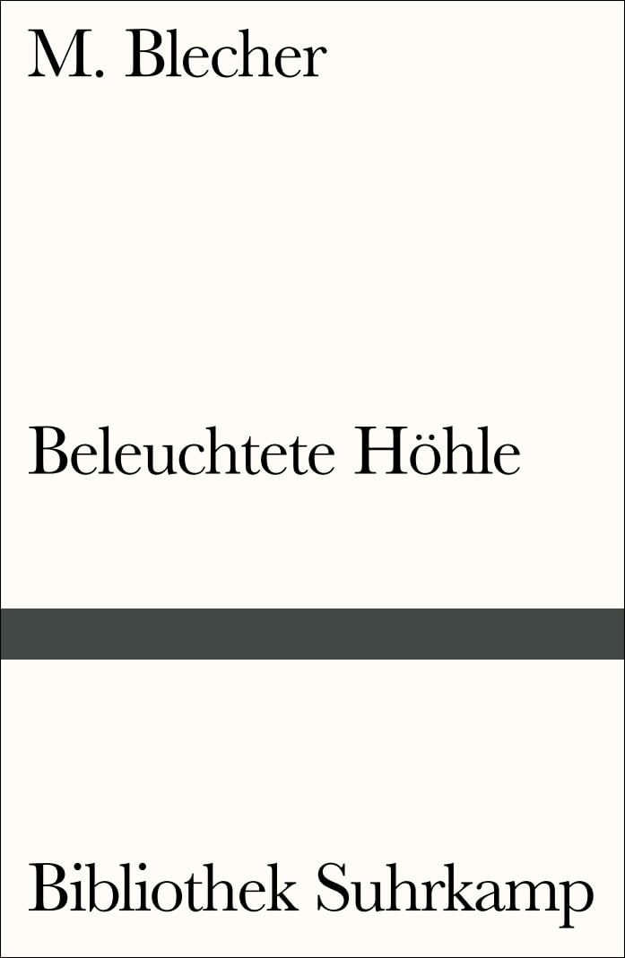 Beleuchtete Höhle: Sanatoriumstagebuch (Bibliothek Suhrkamp) Contemporary literature