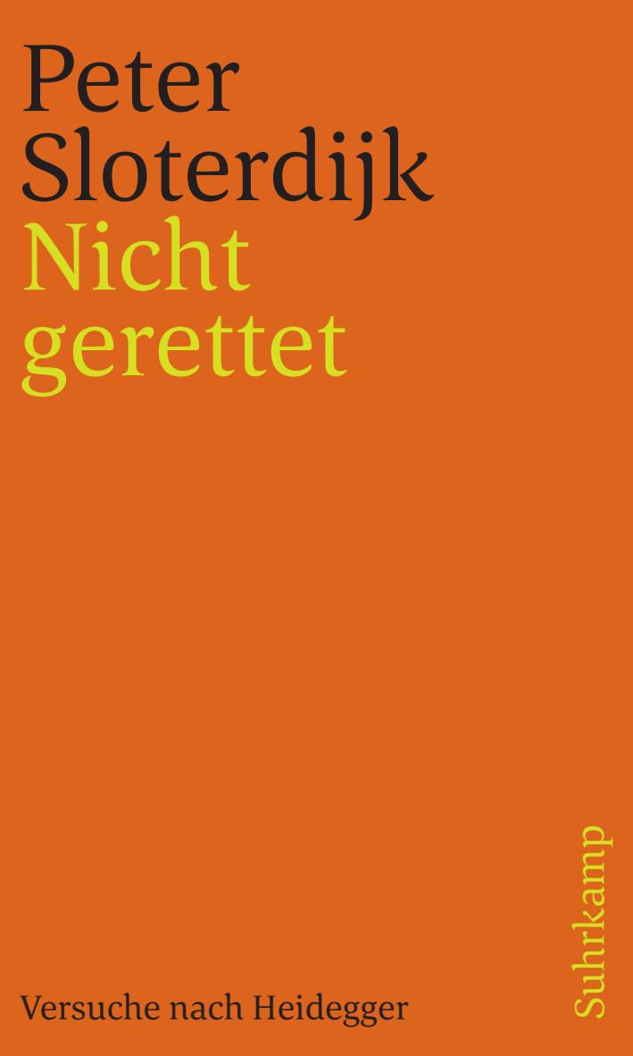 Nicht gerettet: Versuche nach Heidegger Philosophy