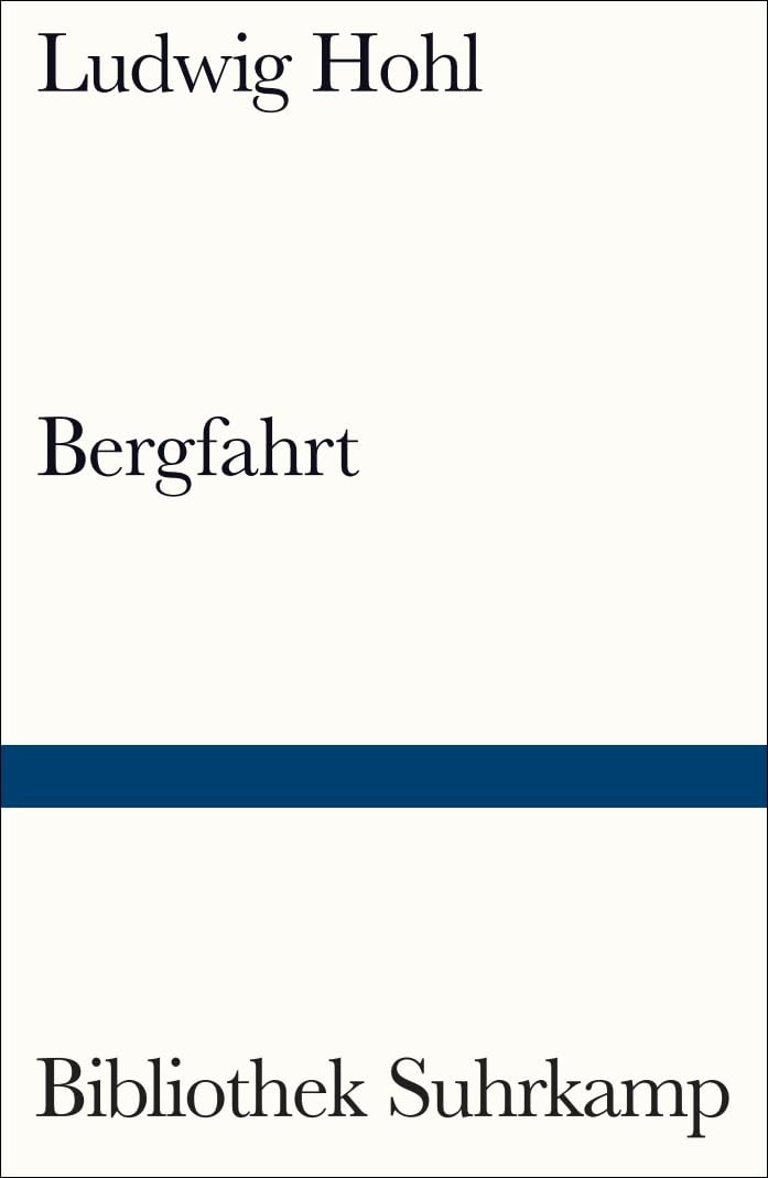 Bergfahrt (Bibliothek Suhrkamp) Contemporary literature