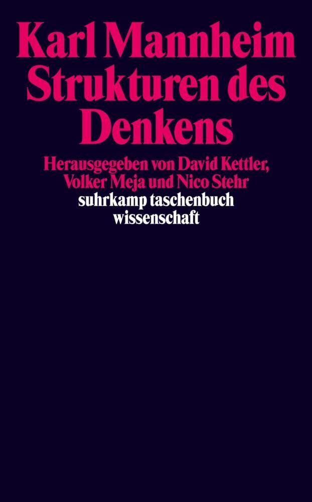 Strukturen des Denkens (suhrkamp taschenbuch wissenschaft) Philosophy
