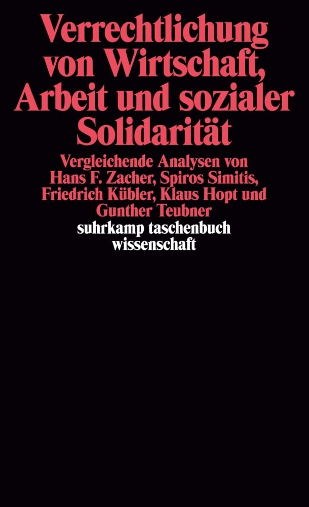 Verrechtlichung von Wirtschaft, Arbeit und sozialer Solidarität book