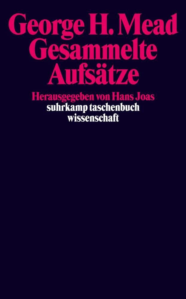 Gesammelte Aufsätze: Band 1 (suhrkamp taschenbuch wissenschaft) Philosophy