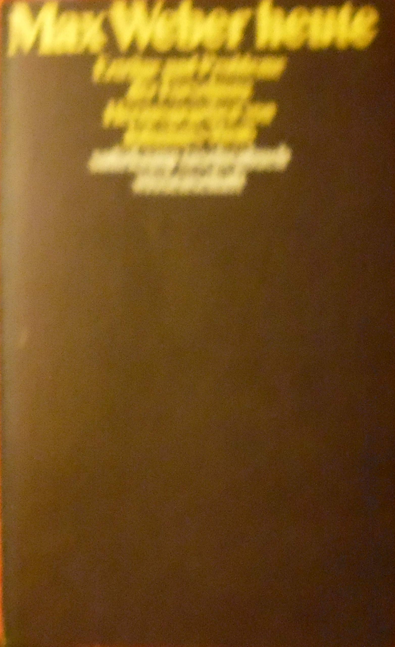 Max Weber heute. Erträge und Probleme der Forschung Social Sciences