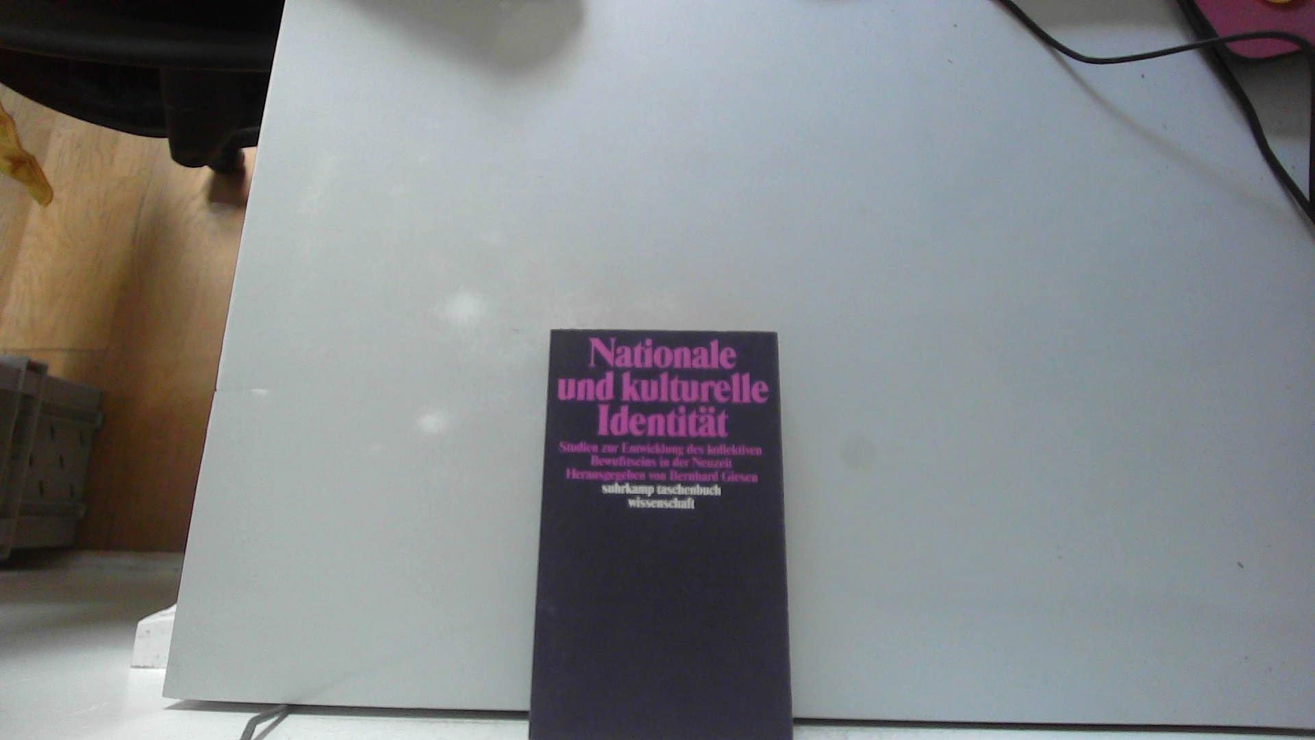 Nationale und kulturelle Identität. Studien zur Entwicklung des kollektiven Bewusstseins in der Neuzeit Politics & History