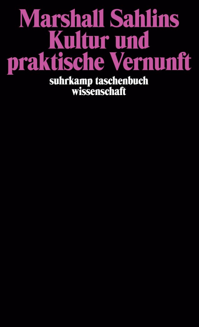 Kultur und praktische Vernunft (suhrkamp taschenbuch wissenschaft) Philosophy