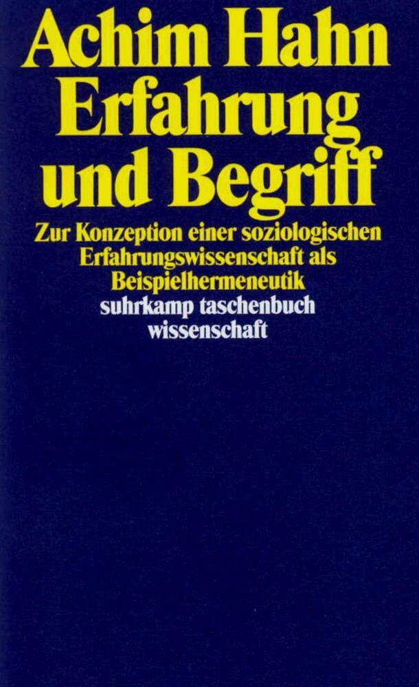 Product Image: Erfahrung und Begriff