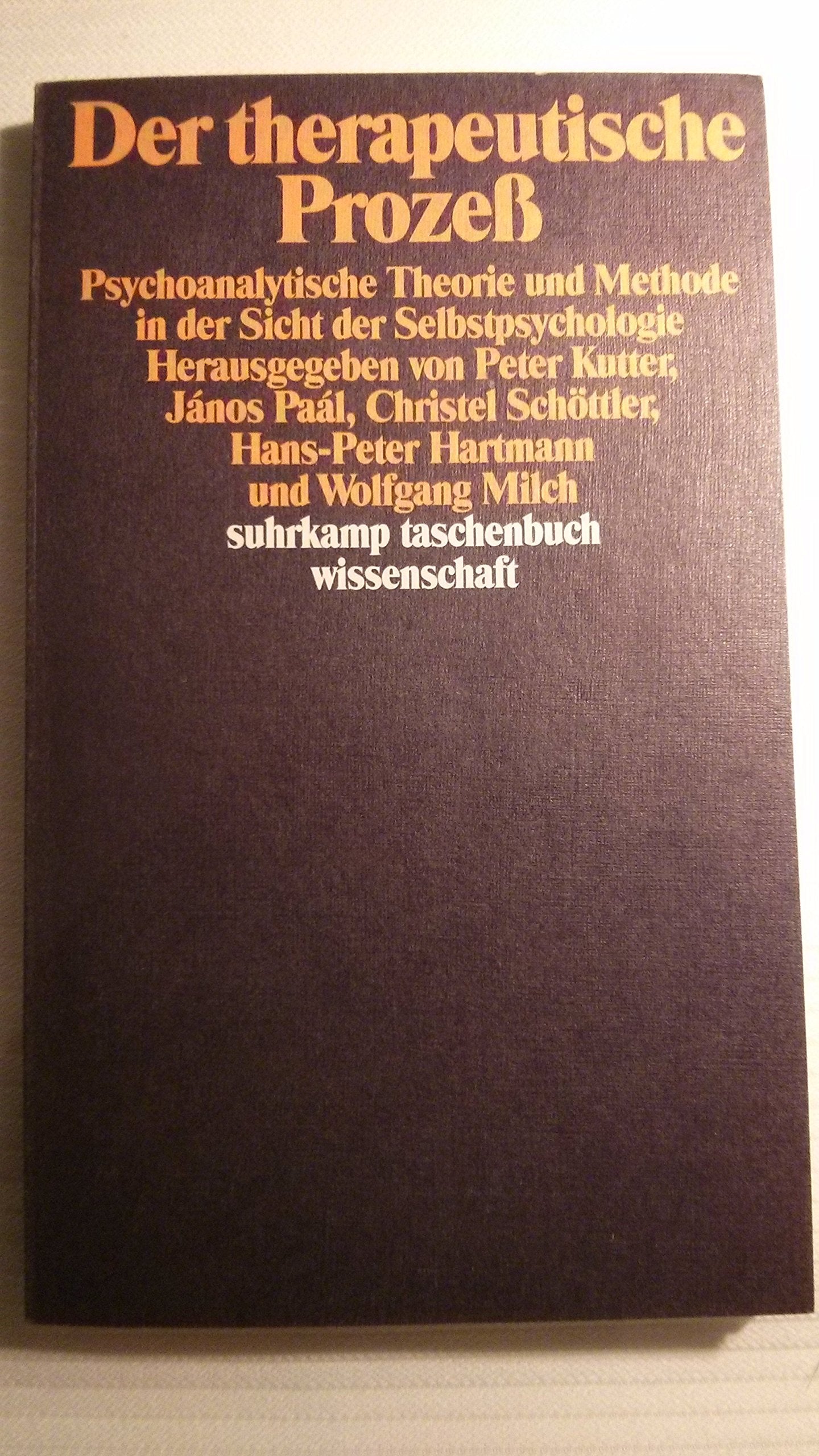 Der therapeutische Prozeß: Psychoanalytische Theorie und Methode in der Sicht der Selbstpsychologie (suhrkamp taschenbuch wissenschaft) Psychology
