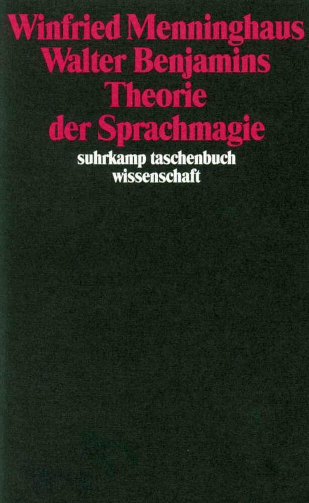 Walter Benjamins Theorie der Sprachmagie Social Sciences
