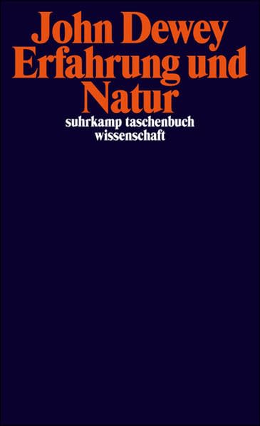 Erfahrung und Natur (suhrkamp taschenbuch wissenschaft) Philosophy