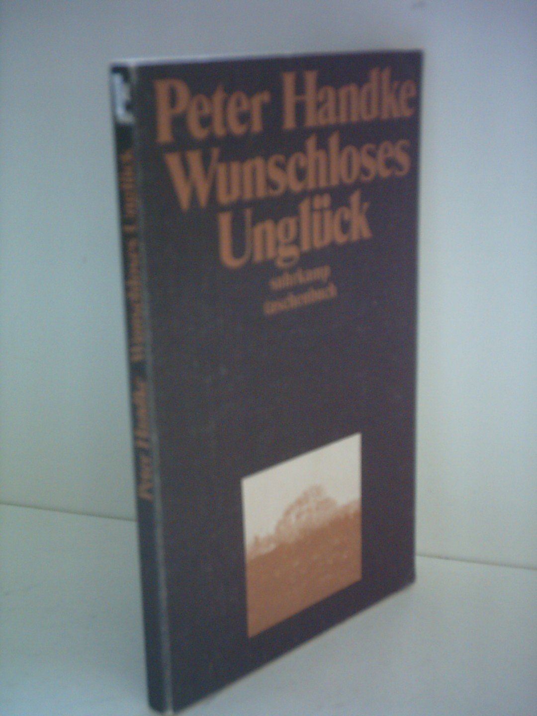 Wunschloses Unglück: Erzählung (Suhrkamp Taschenbücher) Contemporary literature