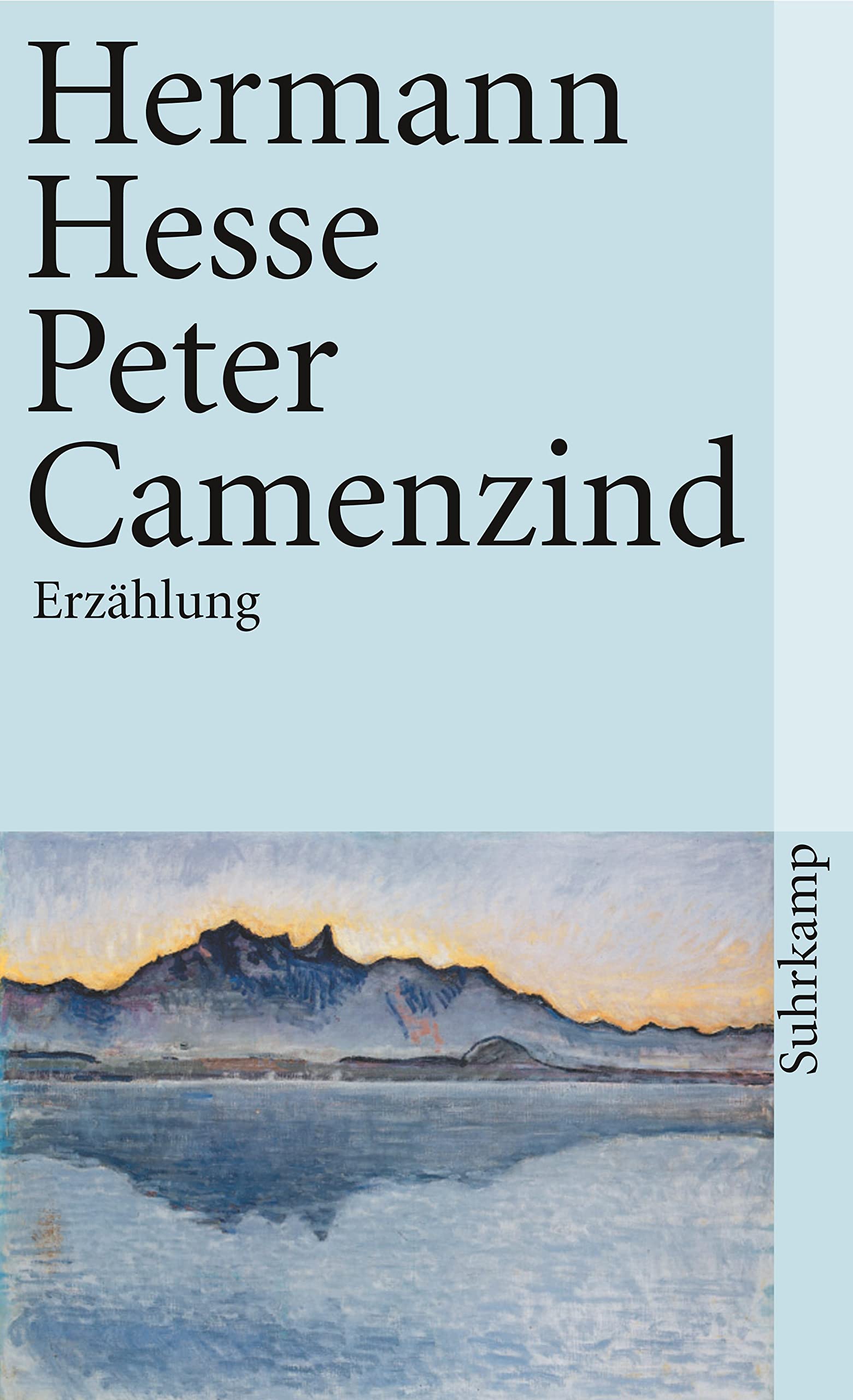 Peter Camenzind Contemporary literature Books