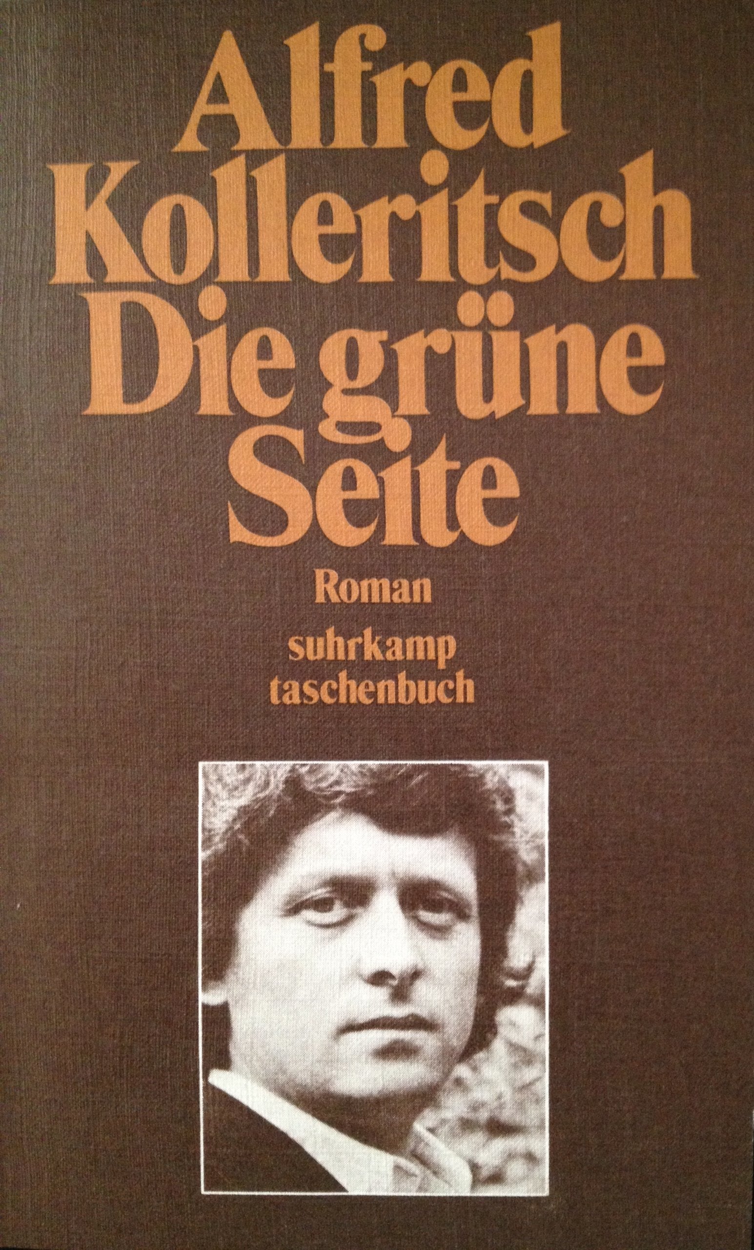 Die grüne Seite: Roman (suhrkamp taschenbuch) Contemporary literature