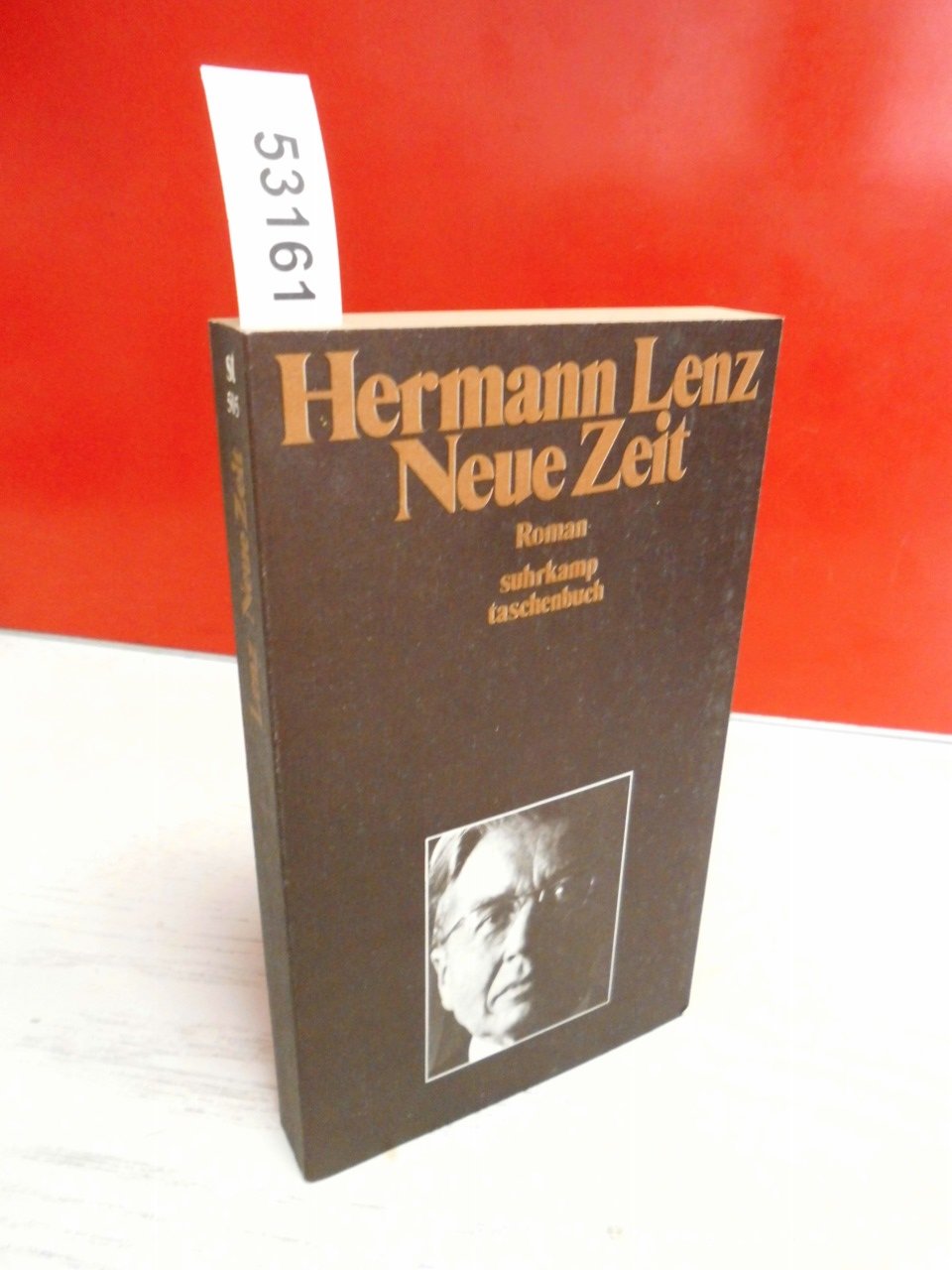 Neue Zeit. Roman (suhrkamp taschenbuch) Contemporary literature