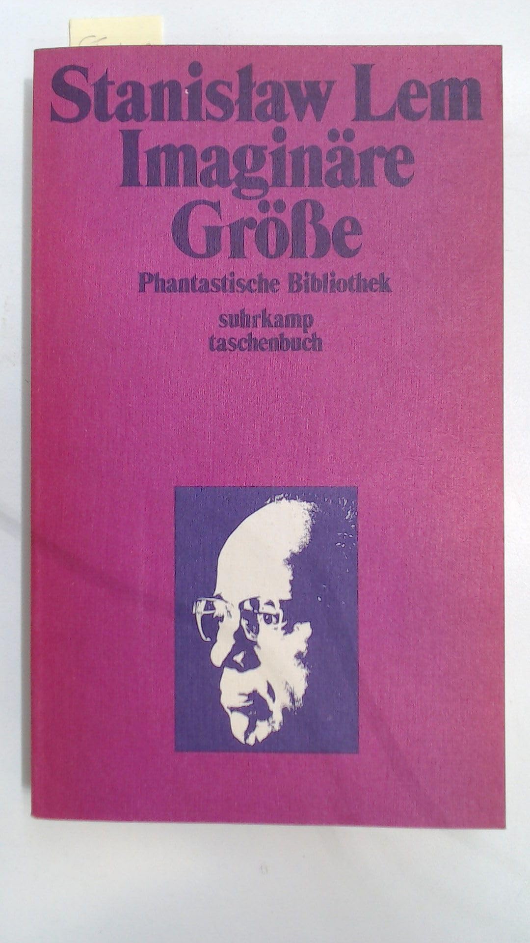 Imaginäre Grösse (Suhrkamp Taschenbücher) Contemporary literature