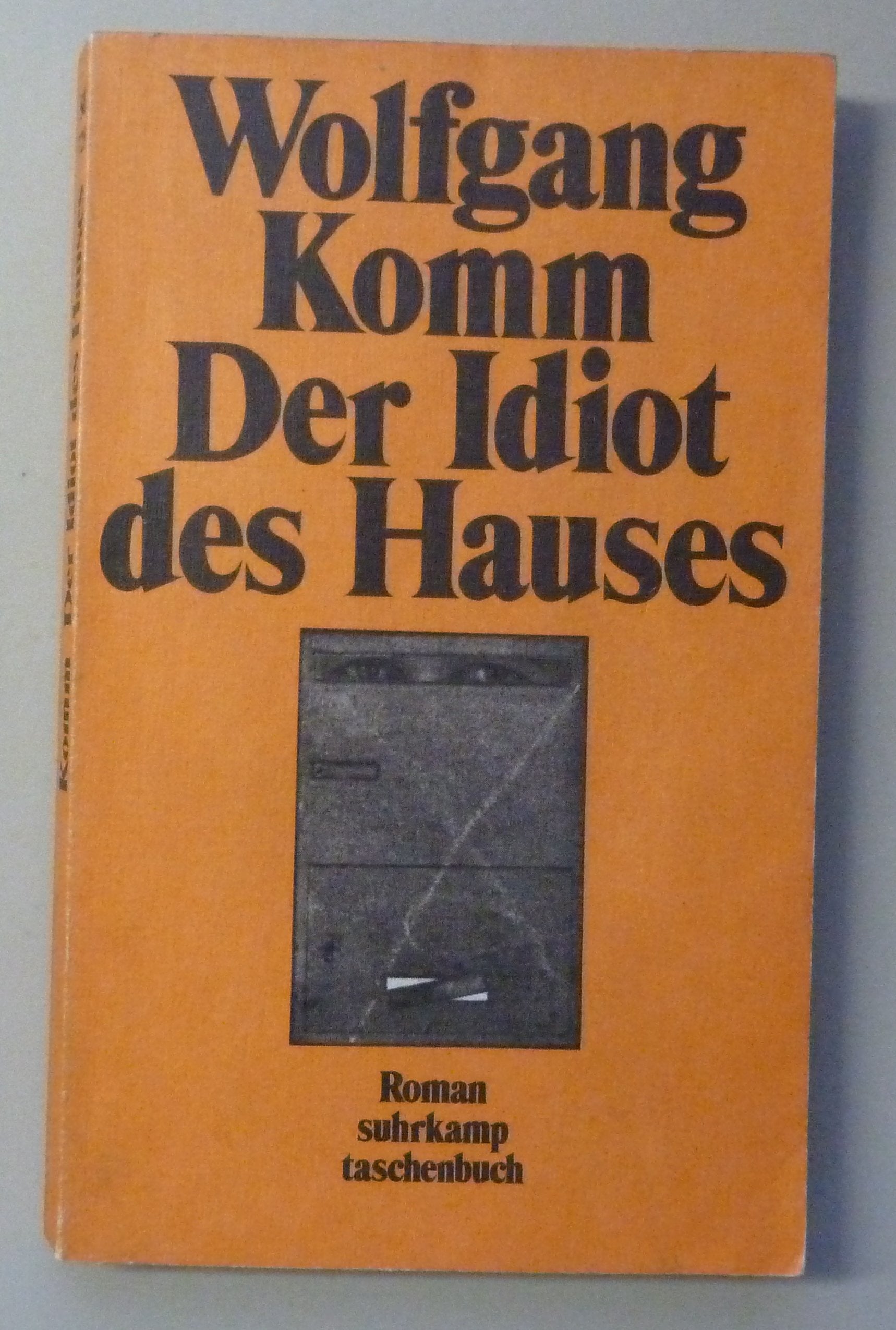 Der Idiot des Hauses: Roman (Suhrkamp Taschenbücher) Books