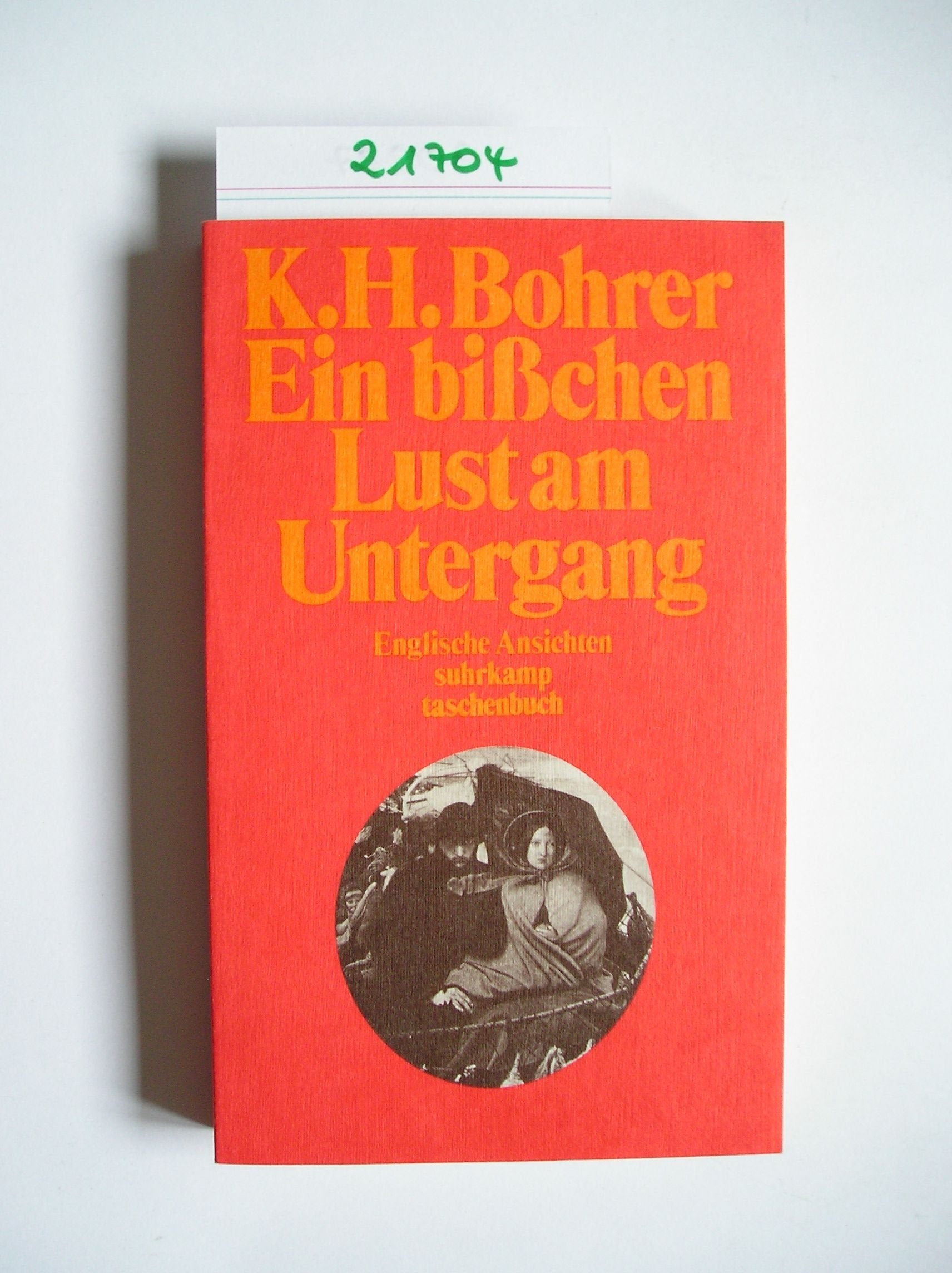 Ein bisschen Lust am Untergang: Englische Ansichten (Suhrkamp Taschenbücher) Books
