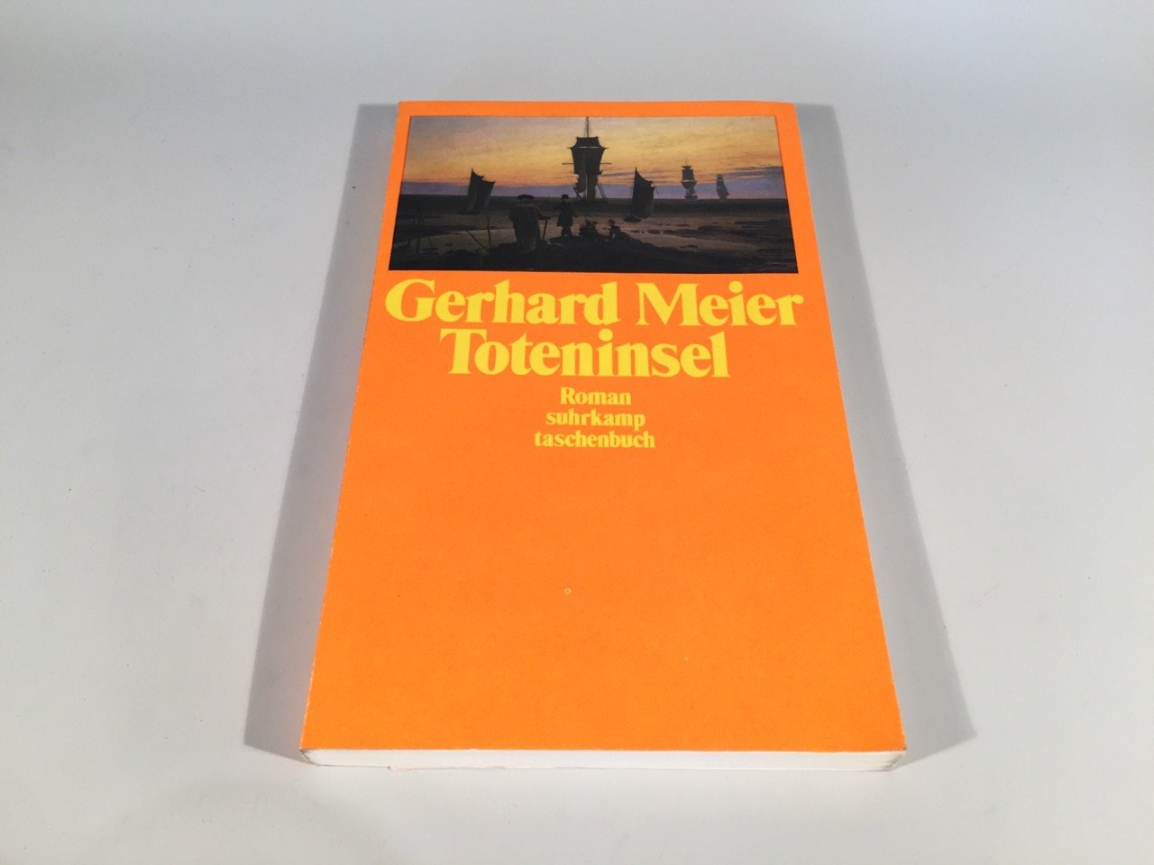 Toteninsel: Roman (suhrkamp taschenbuch) Contemporary literature