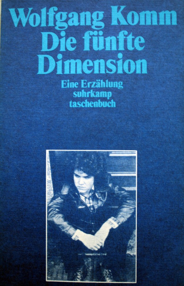 Die fünfte Dimension: Eine Erzählung (suhrkamp taschenbuch) Contemporary literature
