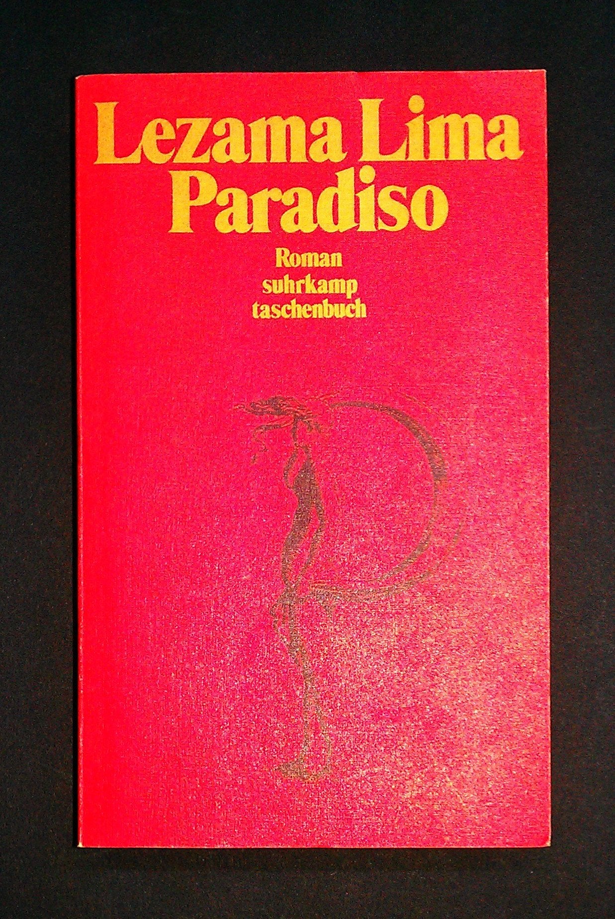Paradiso: Roman. Aus dem Spanischen von Curt Meyer-Clason unter Mitwirkung von Anneliese Botond (suhrkamp taschenbuch) Politics & History