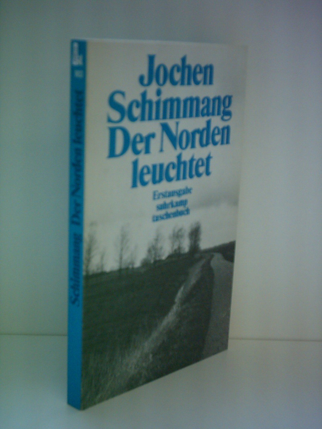 Der Norden leuchtet: Erzählungen (suhrkamp taschenbuch) Books