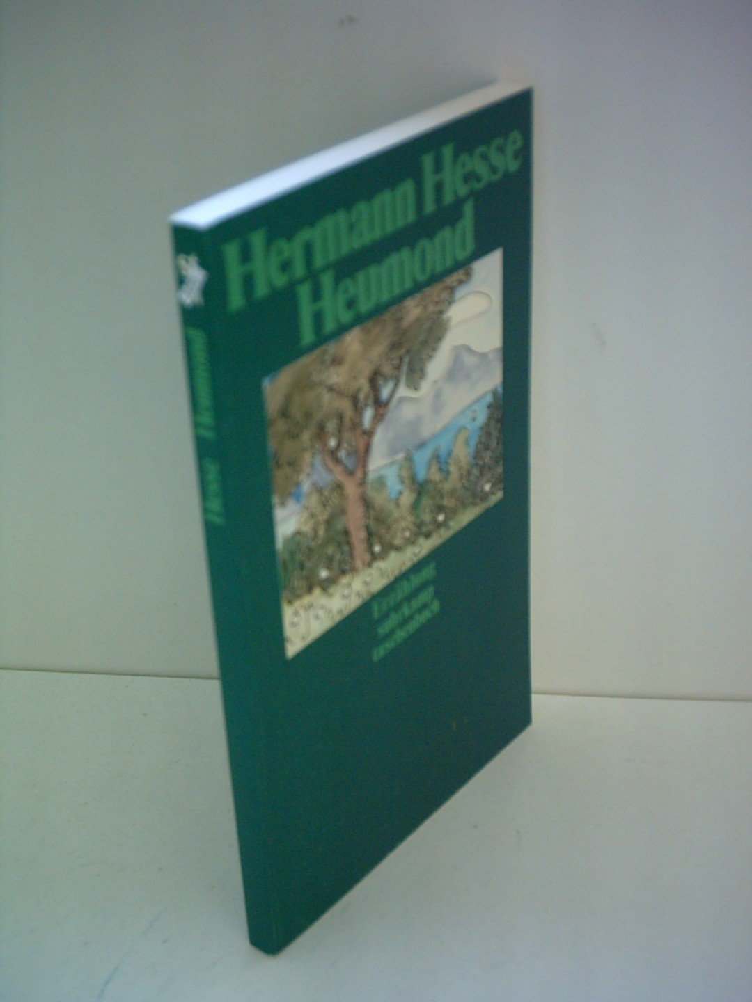 Heumond: Erzählung (suhrkamp taschenbuch) Contemporary literature