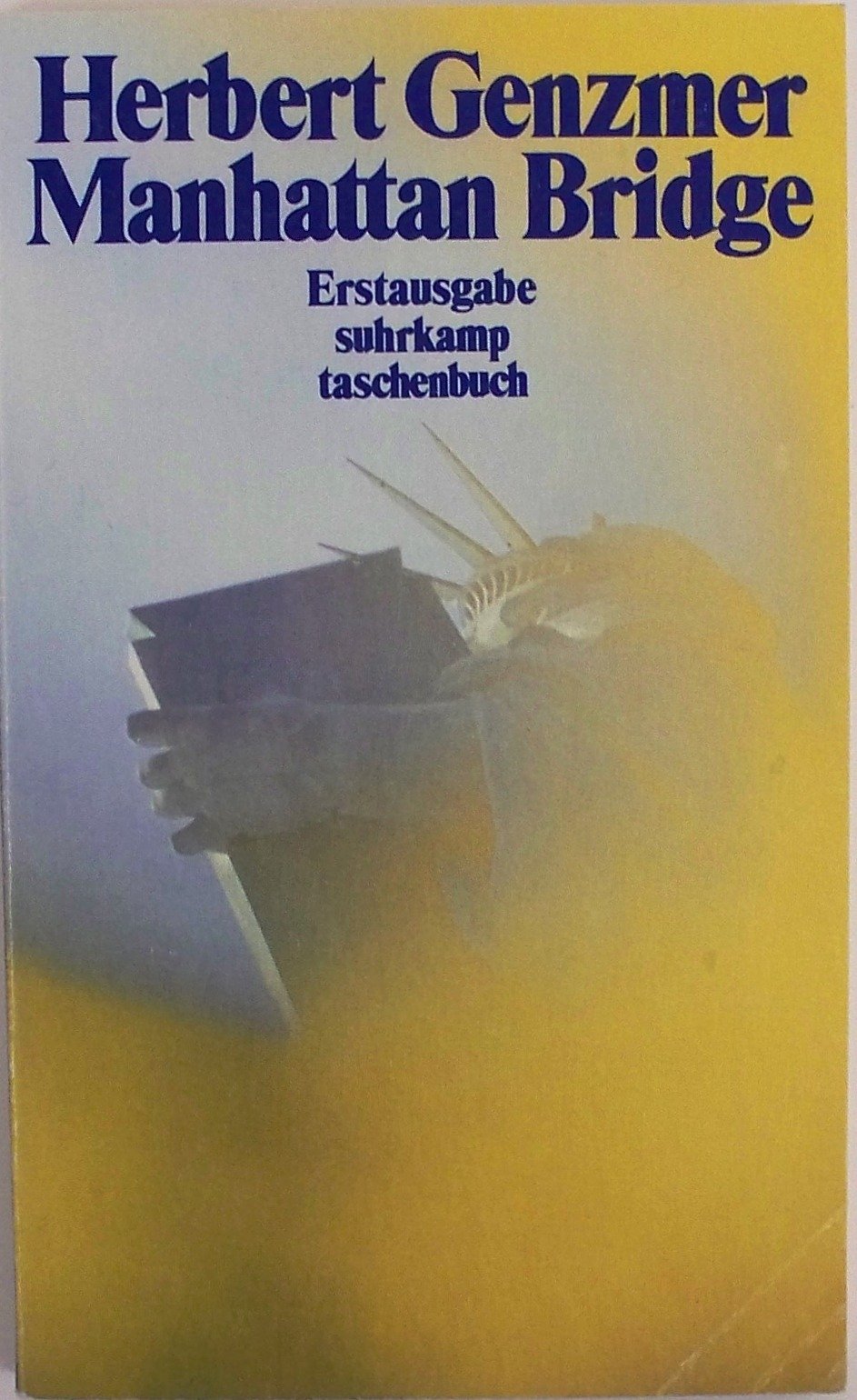 Manhattan Bridge: Geschichte einer Nacht (suhrkamp taschenbuch) Books