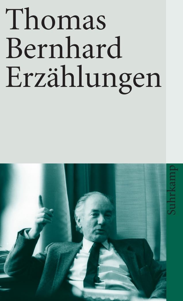 Erzählungen (suhrkamp taschenbuch) Essays & Short Stories