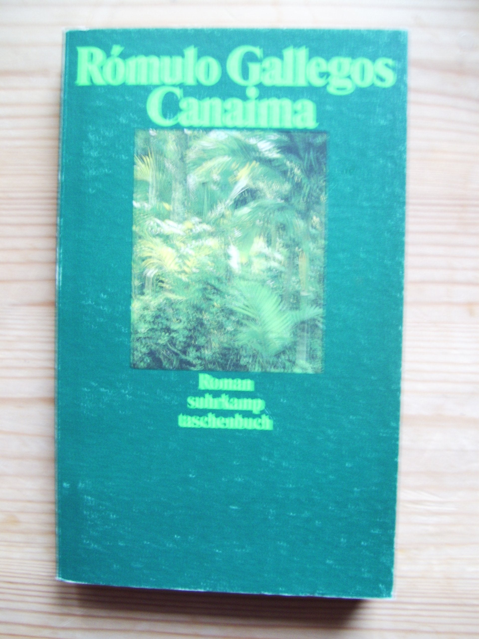 Canaíma: Roman. Aus dem Spanischen übertragen von Doris Deinhard. Mit einem Nachwort von Carol Prunhuber (suhrkamp taschenbuch) Books