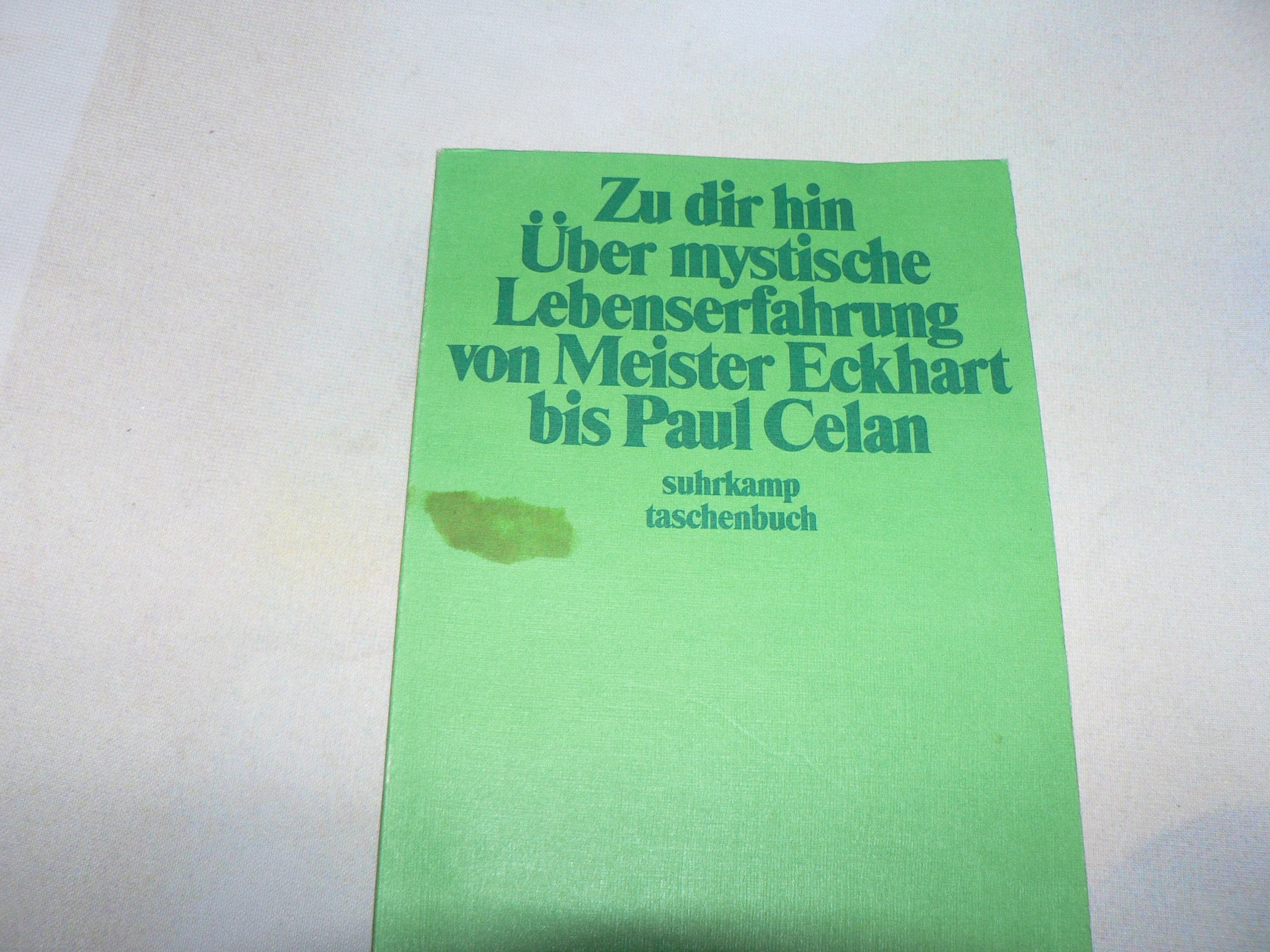 Zu dir hin. Über mystische Lebenserfahrung von Meister Eckhart bis Paul Celan Art & Literature