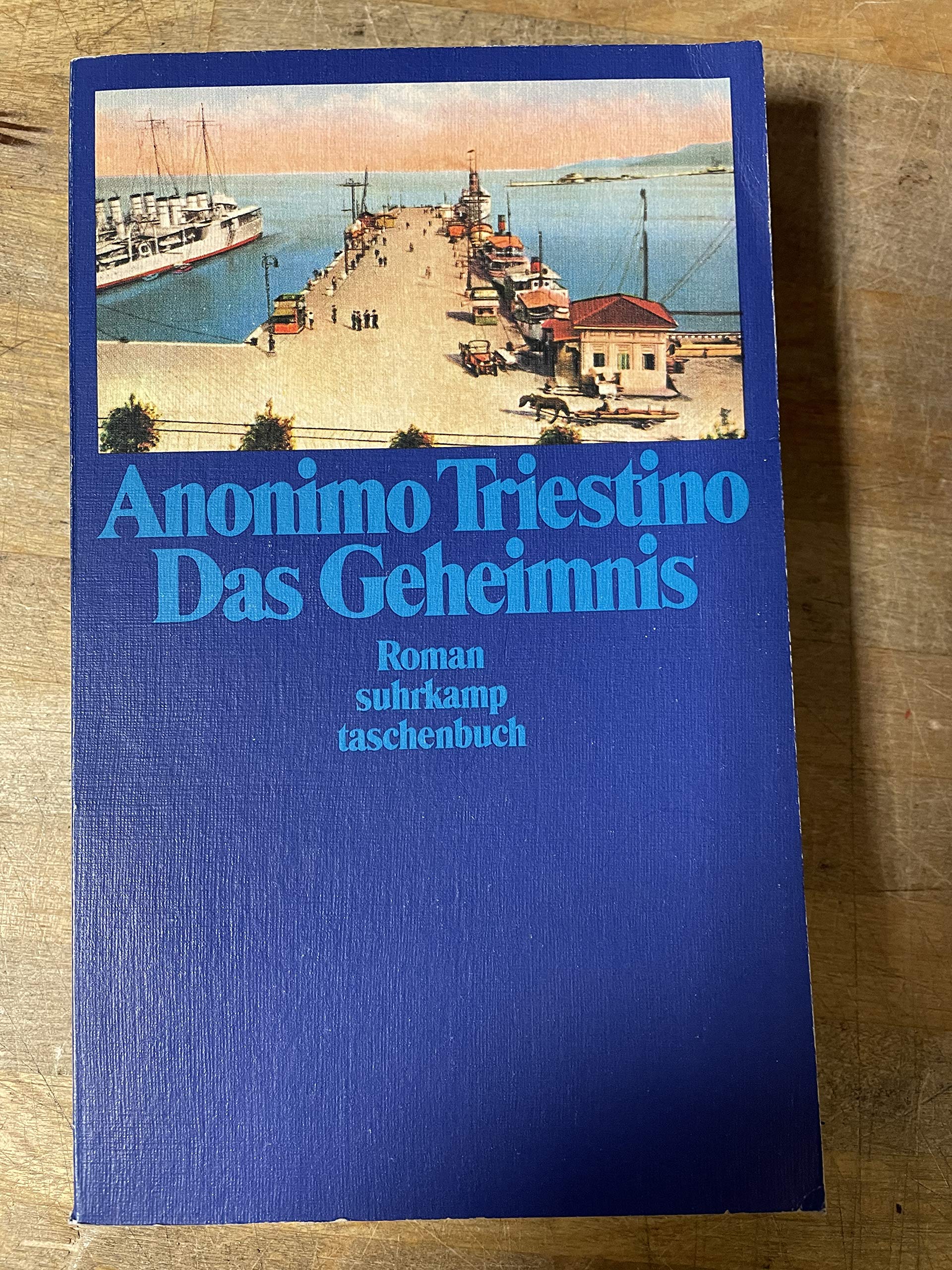 Das Geheimnis: Roman (Suhrkamp Taschenbücher) Books