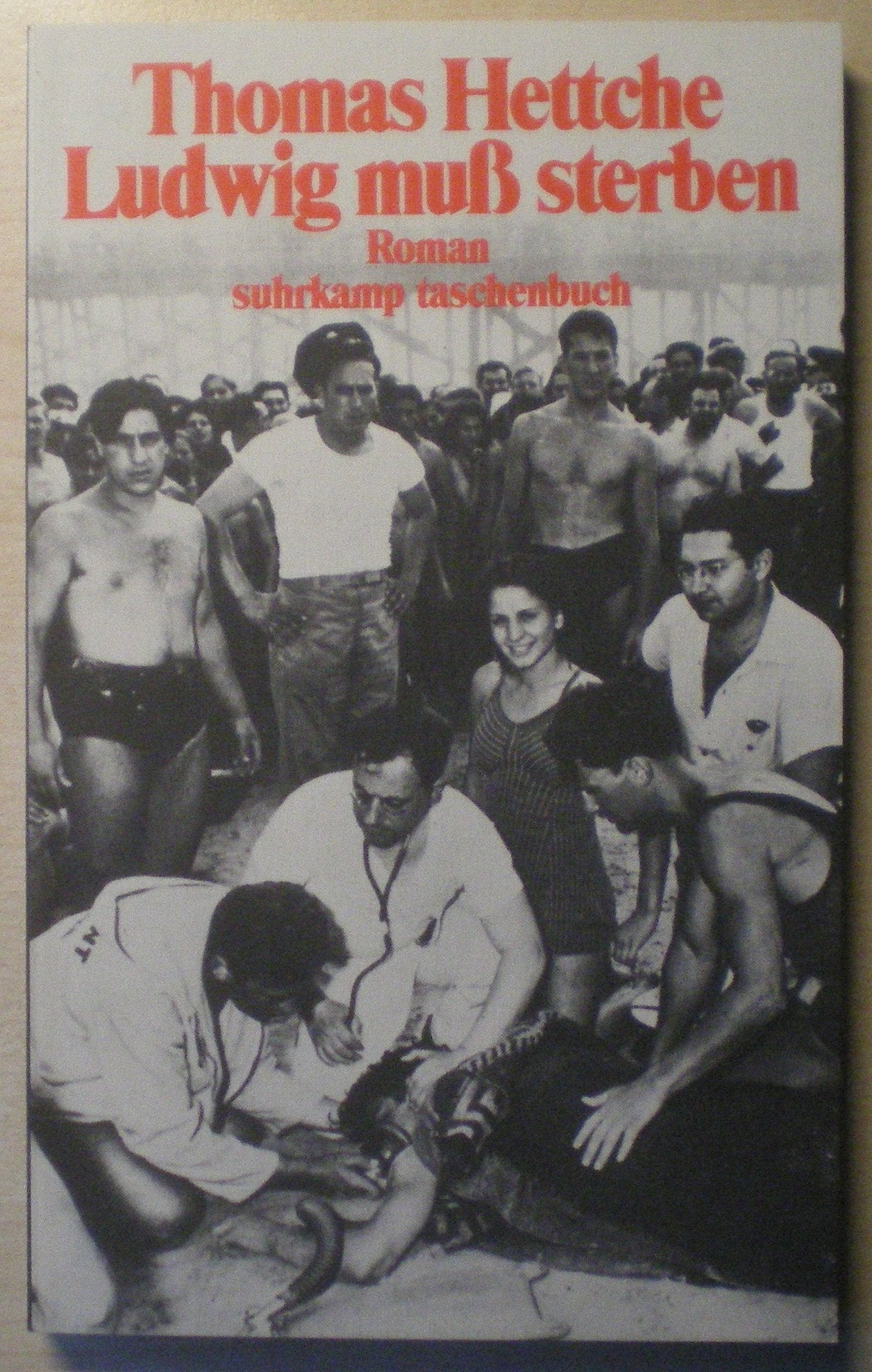 Ludwig muß sterben: Roman (suhrkamp taschenbuch) Contemporary literature