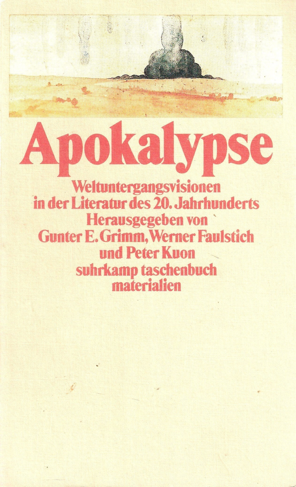 Apokalypse. Weltuntergangsvisionen in der Literatur des 20. Jahrhunderts Media & Communication