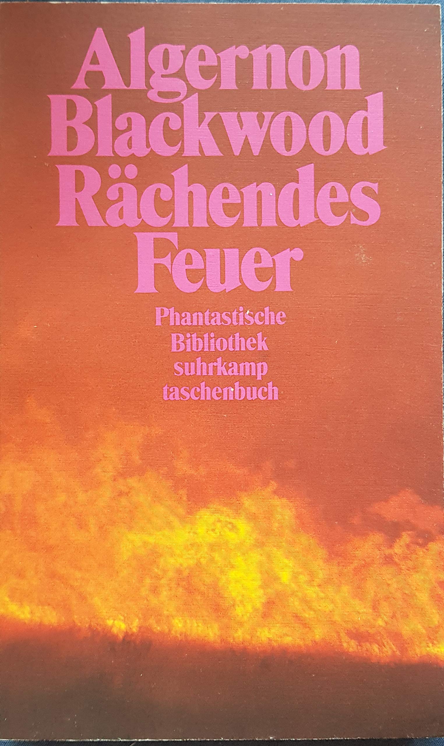 Rächendes Feuer: Erzählungen. Ausgewählt von Kalju Kirde. Deutsch von Friedrich Polakovics (suhrkamp taschenbuch) Books