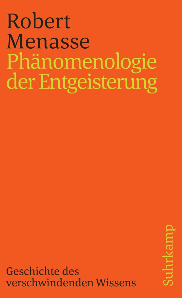Phänomenologie der Entgeisterung Contemporary literature