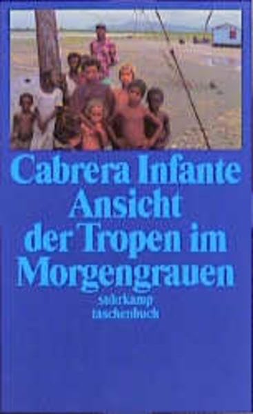 Ansicht der Tropen im Morgengrauen (suhrkamp taschenbuch) Contemporary literature