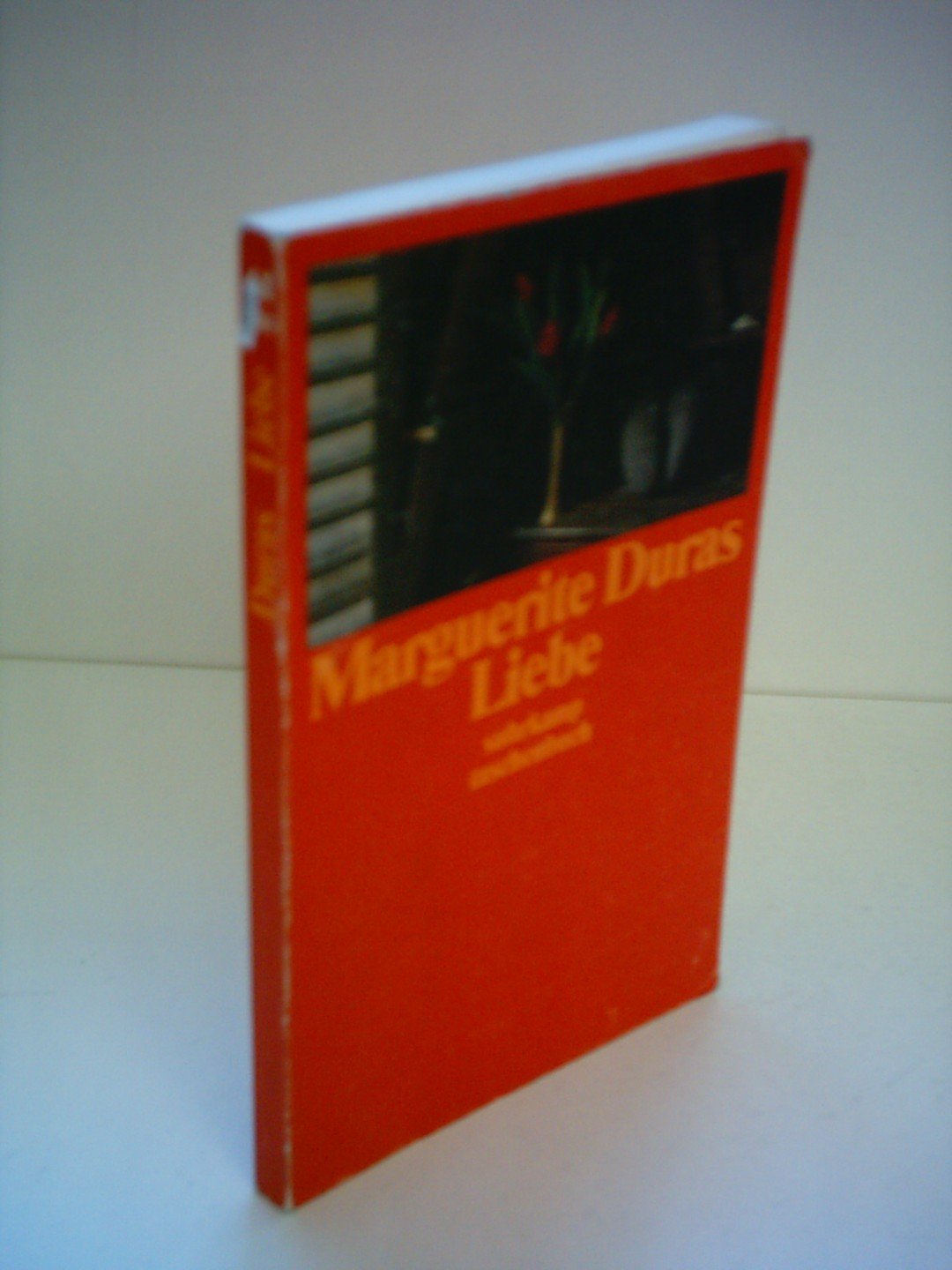Liebe (Suhrkamp Taschenbücher) Contemporary literature