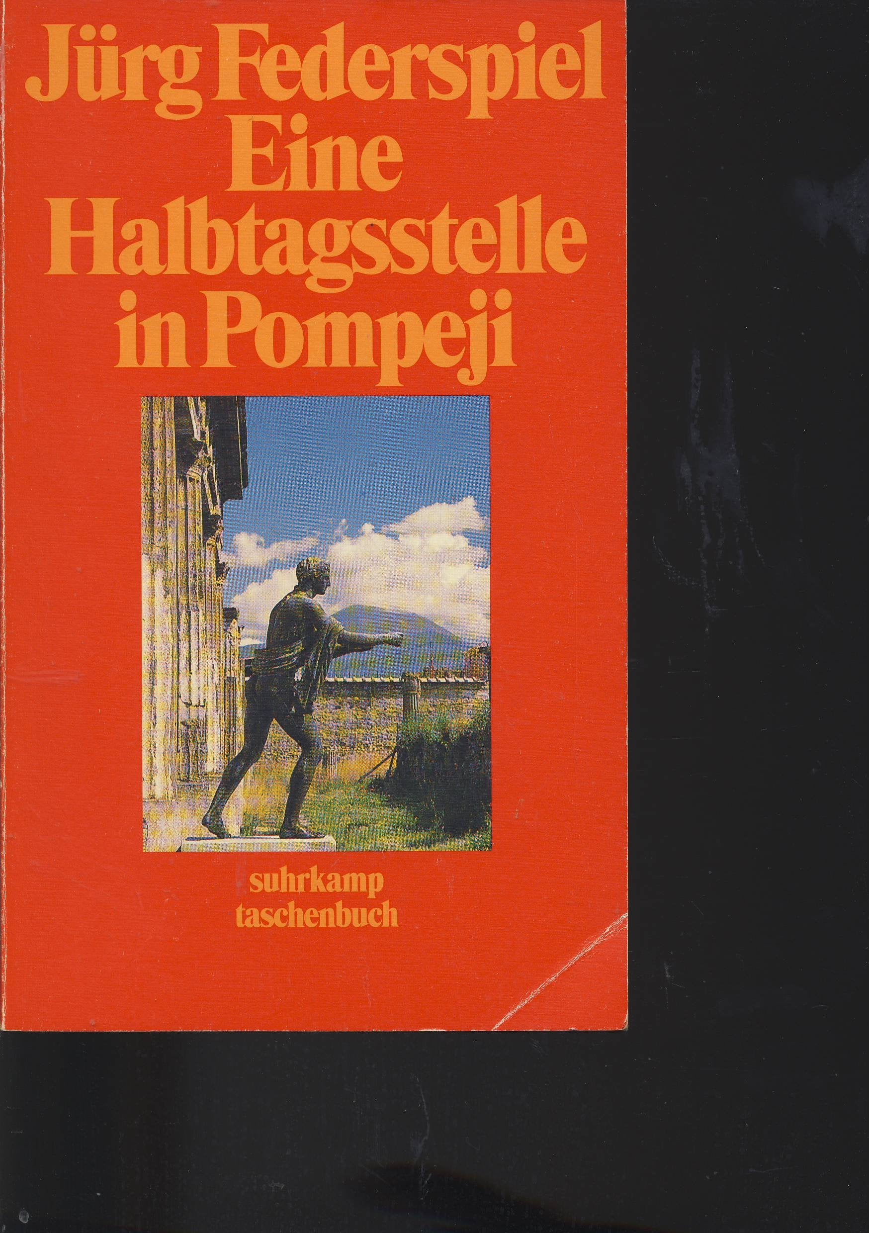Eine Halbtagsstelle in Pompeji: Erzählungen (suhrkamp taschenbuch) Contemporary literature