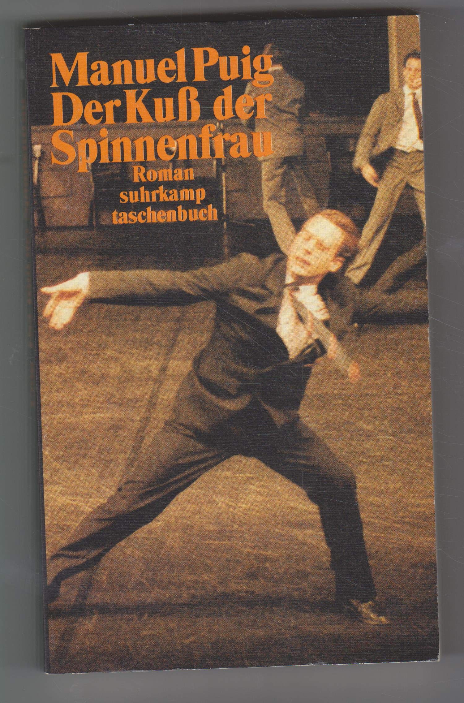 Der Kuss der Spinnenfrau: Roman (Suhrkamp Taschenbücher) International