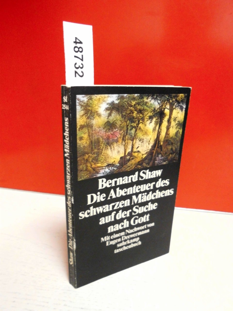 Die Abenteuer des schwarzen Mädchens auf der Suche nach Gott (Suhrkamp Taschenbücher) Contemporary literature