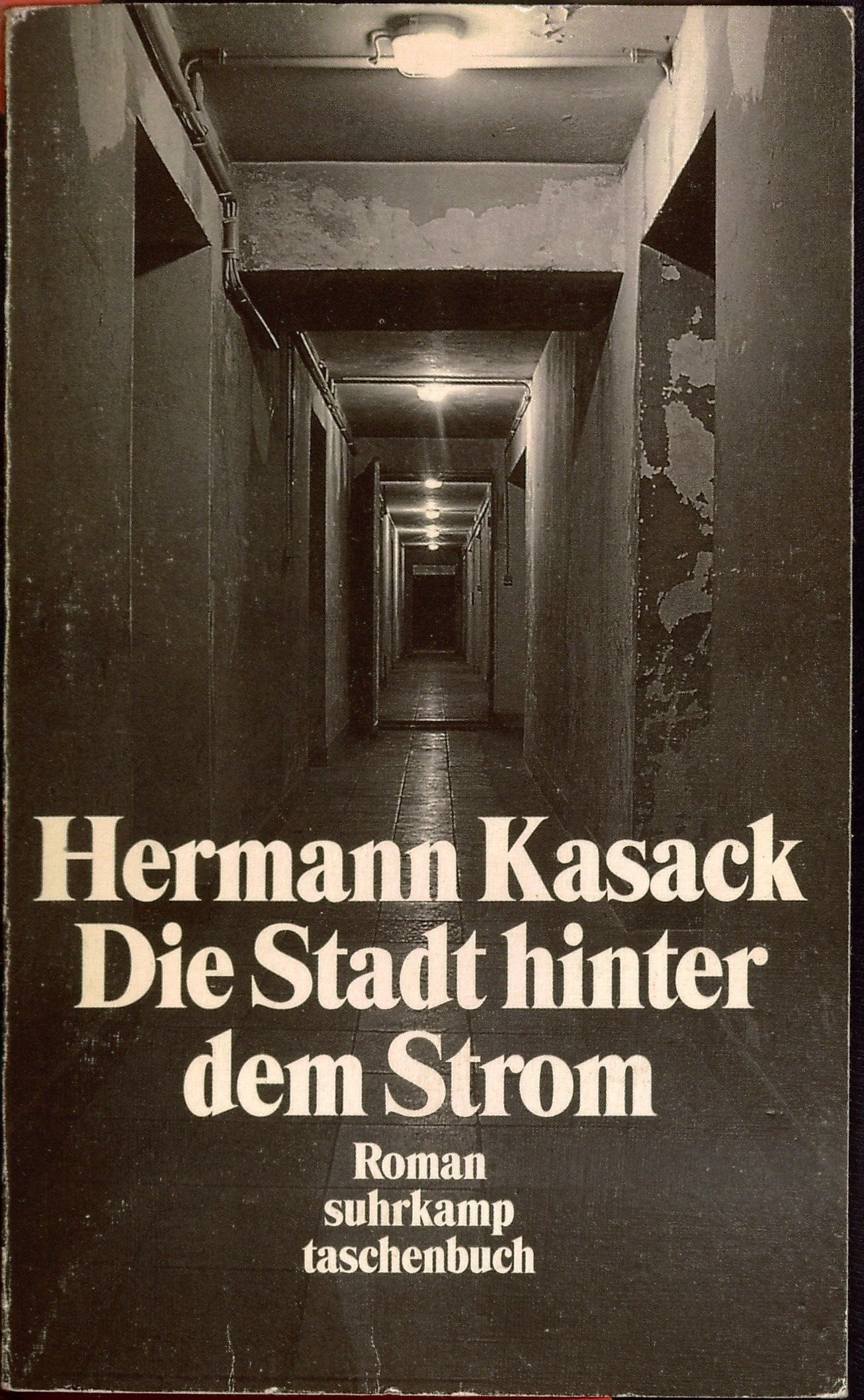 Die Stadt hinter dem Strom: Roman (suhrkamp taschenbuch) Contemporary literature