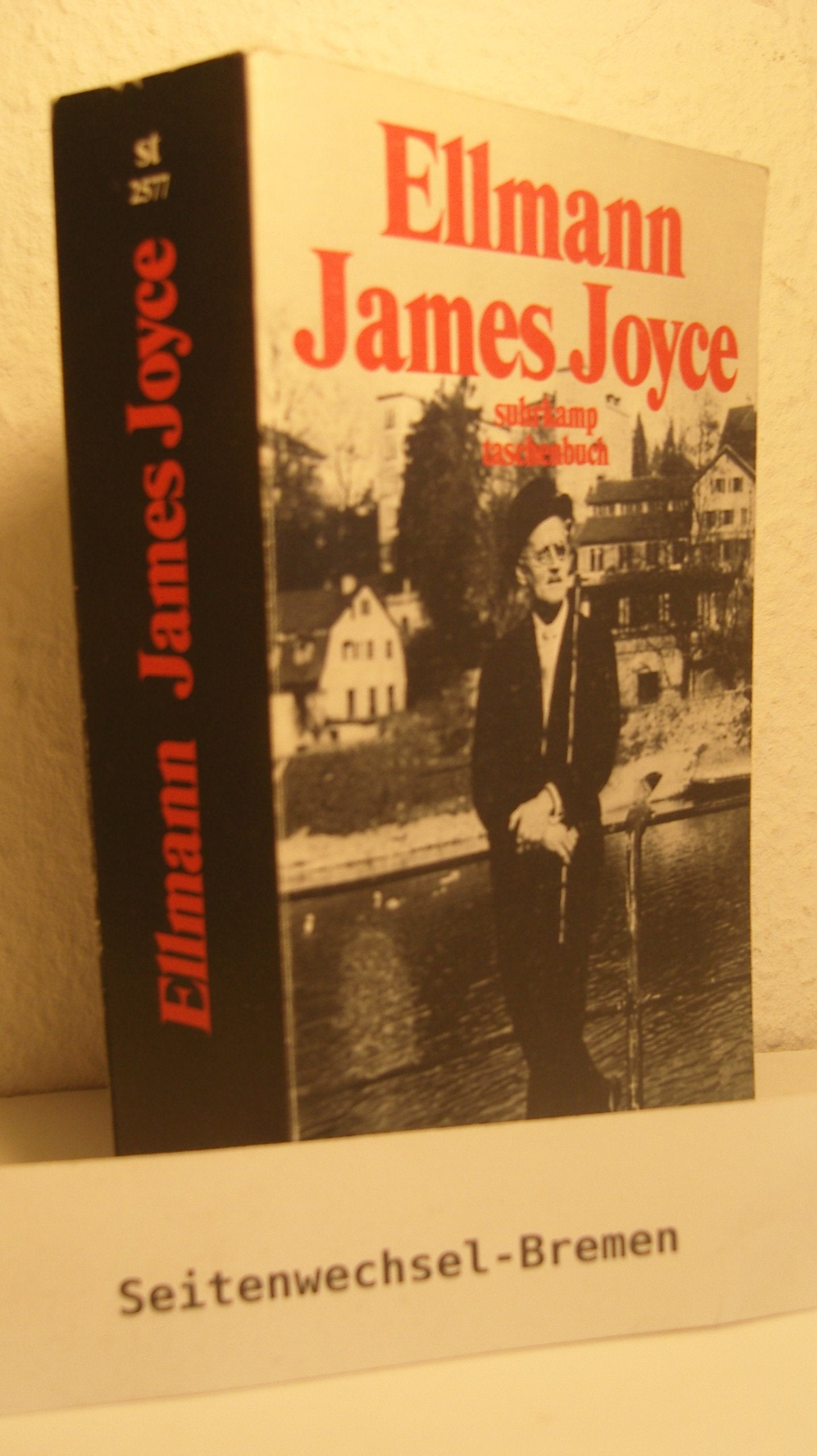 James Joyce (Suhrkamp Taschenbücher) Philosophy