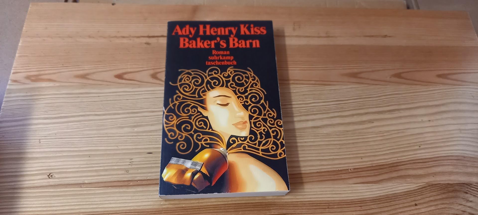 Baker's Barn: Roman (Suhrkamp Taschenbücher) Contemporary literature