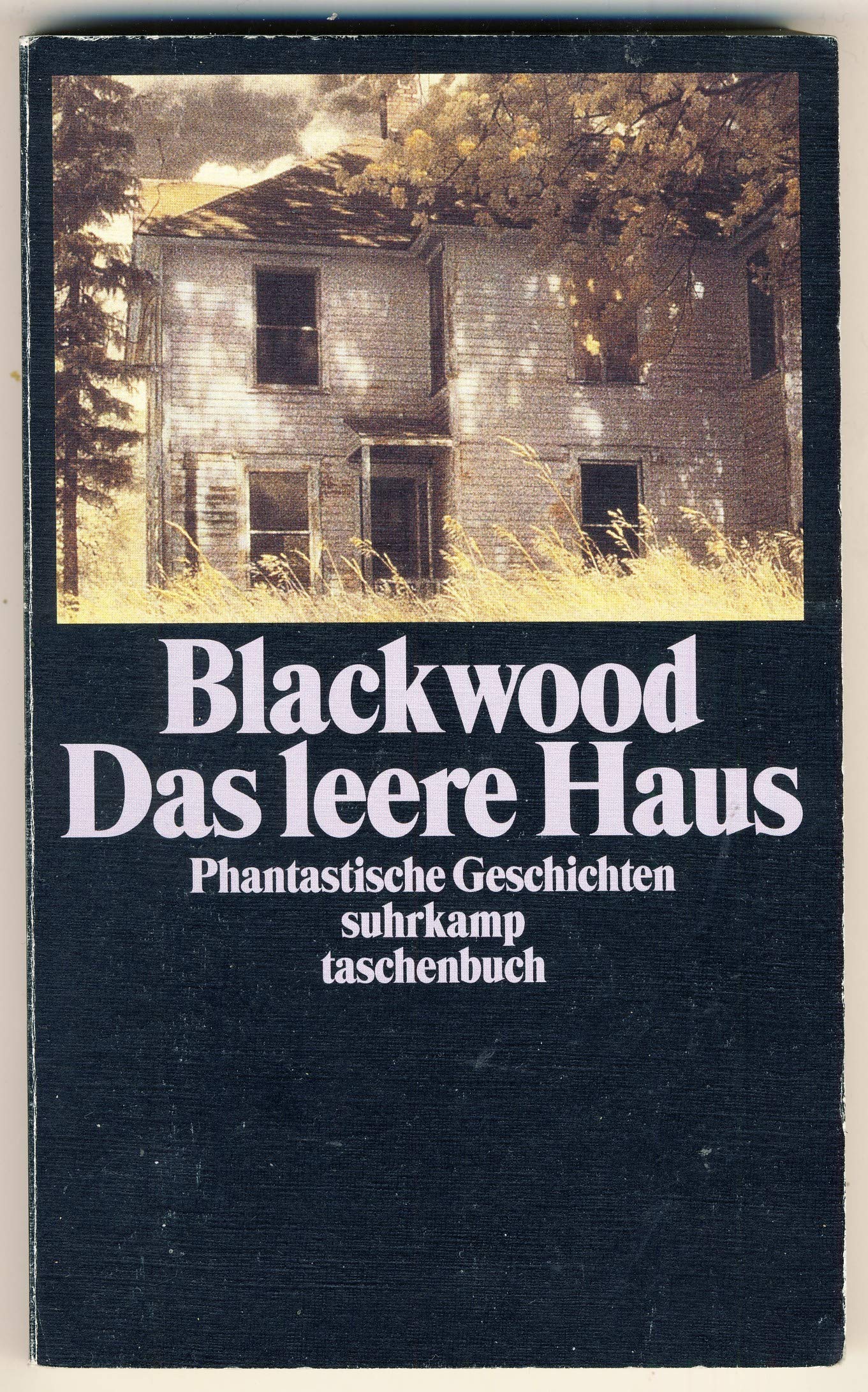 Das leere Haus: Phantastische Geschichten (suhrkamp taschenbuch) Contemporary literature