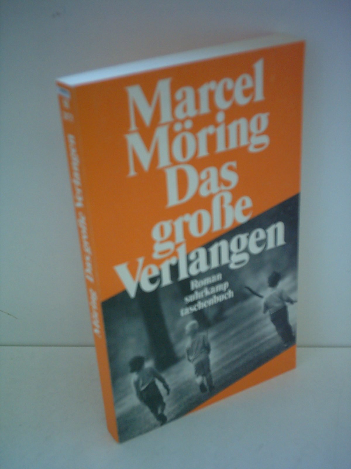 Das große Verlangen: Roman Contemporary literature Books