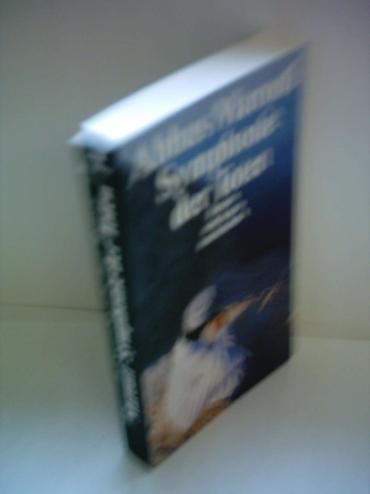 Symphonie der Toten: Roman (suhrkamp taschenbuch) Contemporary literature