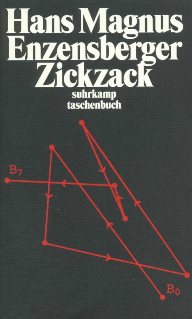 Zickzack: Aufsätze (suhrkamp taschenbuch) Contemporary literature