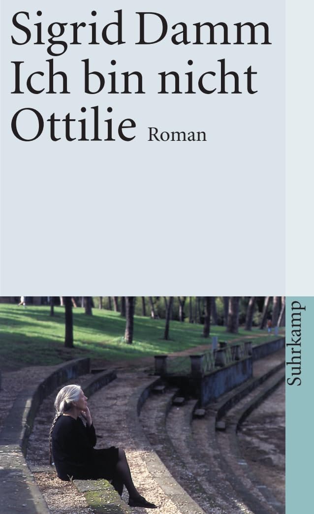 Ich bin nicht Ottilie Contemporary literature Books