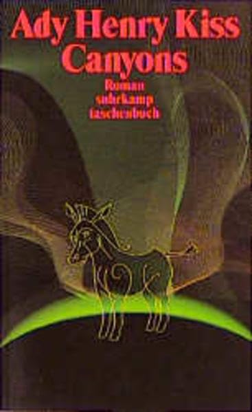 Canyons: Roman (Suhrkamp Taschenbücher) Fantasy & Sci-Fi