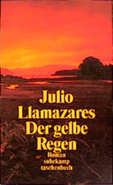 Der gelbe Regen: Roman. Aus dem Spanischen von Wilfried Böhringer (suhrkamp taschenbuch) Contemporary literature